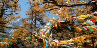 七彩的旗子祈祷在秋日的山林中飘扬