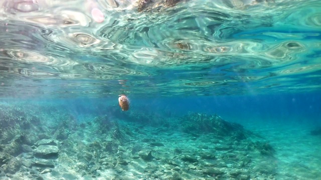 Underwater Scenery