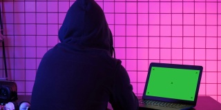 黑客通过数据窃取个人信息，以诈骗赎金。绿屏模拟显示