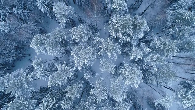 冬天的风景。鸟瞰图。