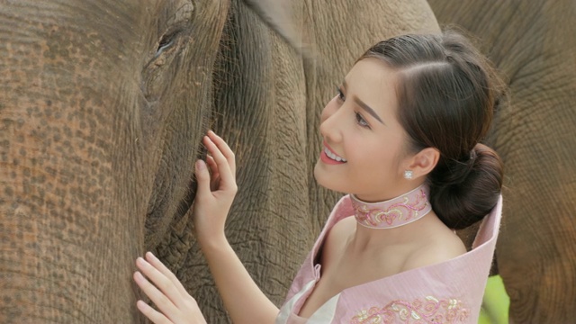 温柔的年轻迷人的亚洲女人在传统服装与大象。理念:爱动物，温柔，爱自然。