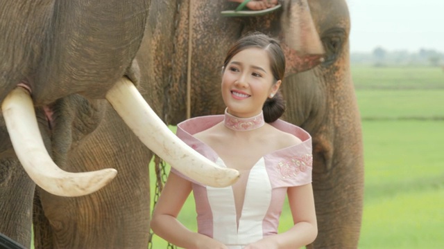 温柔的年轻迷人的亚洲女人在传统服装与大象。理念:爱动物，温柔，爱自然。