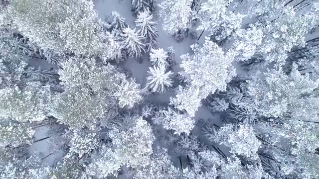 冬天的风景。鸟瞰图