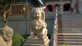 中国狮子，中国庙春节快乐视频素材模板下载