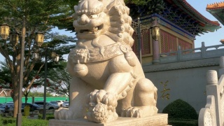 中国狮子，中国庙春节快乐视频素材模板下载
