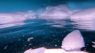 在南极洲潜水视频素材模板下载