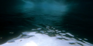 在南极洲潜水