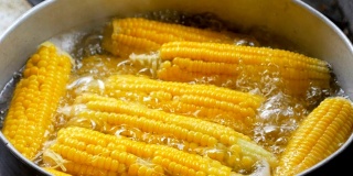 在锅中煮熟的黄色甜玉米