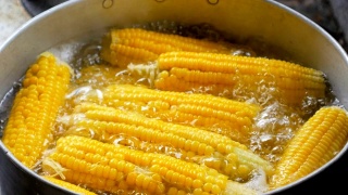 在锅中煮熟的黄色甜玉米视频素材模板下载
