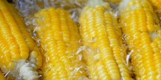 在锅中煮熟的黄色玉米