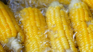 在锅中煮熟的黄色玉米视频素材模板下载