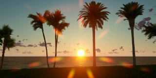 日落海滩上的棕榈树