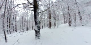 人走过美丽的冬季森林，360度，VR，小星球效果