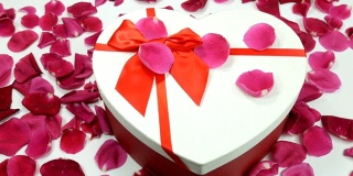 白色心形礼盒和玫瑰花瓣