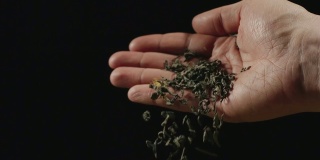 慢镜头:干绿茶叶子从人的手掌落下-正面