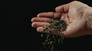 慢镜头:干绿茶叶子从人的手掌落下-正面视频素材模板下载