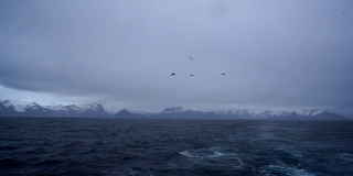 在一艘船的顶部，可以看到南极洲