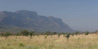 长满草的非洲平原和远处的山脉