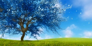 虚幻的蓝色樱花樱花树在盛开的幻想3D动画