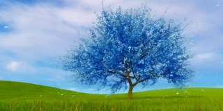 超现实的蓝色樱花樱花树在盛开的幻想3D动画