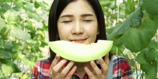 年轻美丽的亚洲女性水果蔬菜农村农民有一片甜瓜和闻西瓜田的味道