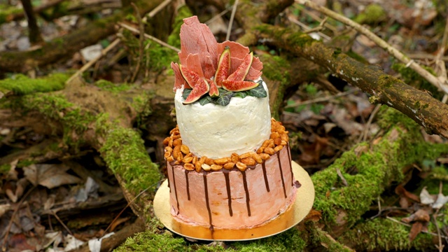 婚礼蛋糕上有两层，浅奶油和新鲜水果，在仪式前装饰好，放在森林中央的树干上，树干上覆盖着一层黑色的苔藓