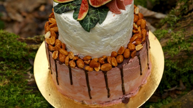 婚礼蛋糕上有两层，浅奶油和新鲜水果，在仪式前装饰好，放在森林中央的树干上，树干上覆盖着一层黑色的苔藓