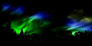 冬季森林的北极光-时间流逝极光(北极光)
