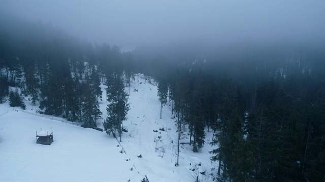 在雪山上空飞过暴风雪的针叶林，冬季天气雾蒙蒙不友好。