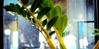 透过雨滴打在窗户上的街道