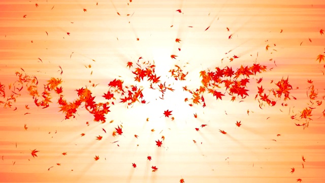 从五彩缤纷的枫树和树叶漩涡。螺旋状发亮的秋叶颗粒。叶跳舞。多彩的自然隧道循环动画。