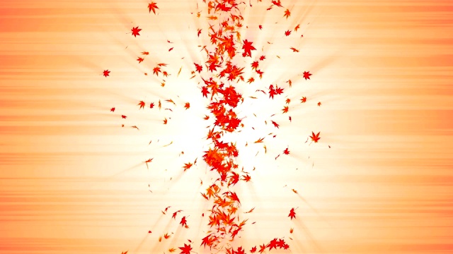 从五彩缤纷的枫树和树叶漩涡。螺旋状发亮的秋叶颗粒。叶跳舞。多彩的自然隧道循环动画。