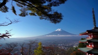 美丽的富士山与枫树在秋天的日本视频素材模板下载