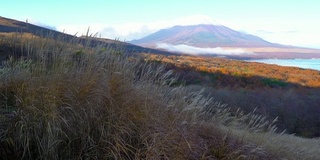 美丽的富士山与枫树在秋天的日本