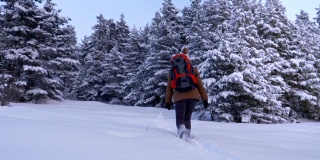 冬季旅行者，一个年轻的女性游客在深雪中行走，享受冬季山，肖像，冬季运动，旅游，探险，冒险，旅游，决心，运动员，户外，登山，背包客