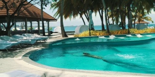 马尔代夫的一个女孩在游泳池里跳