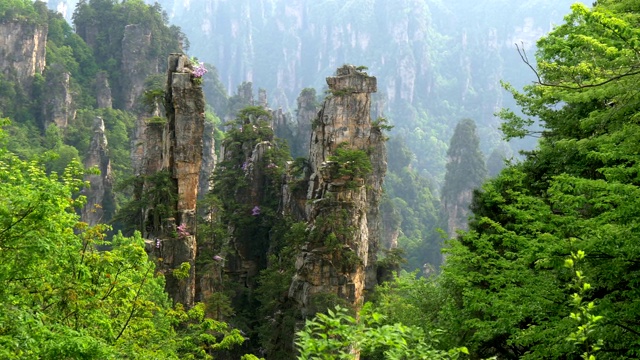 中国张家界武陵源阿凡达山的垂直悬崖。4K