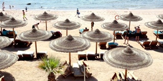 红海海滩。沙姆沙伊赫。埃及。