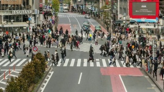 4K时间的推移，行人和汽车人群，未定义的人走过天桥交叉路口，日本东京涩谷区。日本文化和购物区概念视频素材模板下载