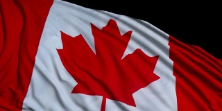 加拿大国旗迎风飘扬
