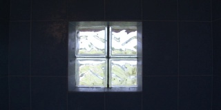 街道厕所里一扇又旧又脏的废弃窗户上布满了阴暗的家蝇