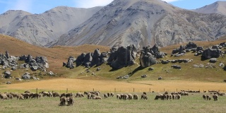 绵羊和城堡山