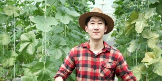年轻英俊的男农民抱着一篮哈密瓜。亚洲人在甜瓜温室农场展示农产品