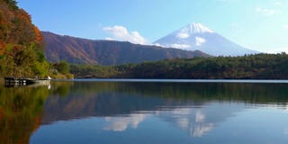 美丽的富士山与枫树在秋天的日本