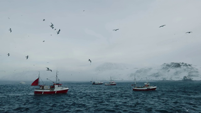 在北冰洋钓鳕鱼