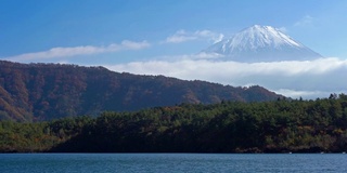 美丽的富士山与枫树在秋天的日本