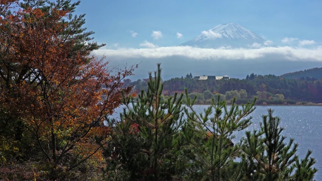 美丽的富士山与枫树在秋天的日本