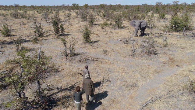 游客和野生动物护林员在博茨瓦纳的灌木丛中观看大象的4K鸟瞰图
