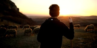 一群羊和少年牧羊人，在黄昏的山上吃草。