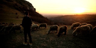 一群羊和少年牧羊人，在黄昏的山上吃草。